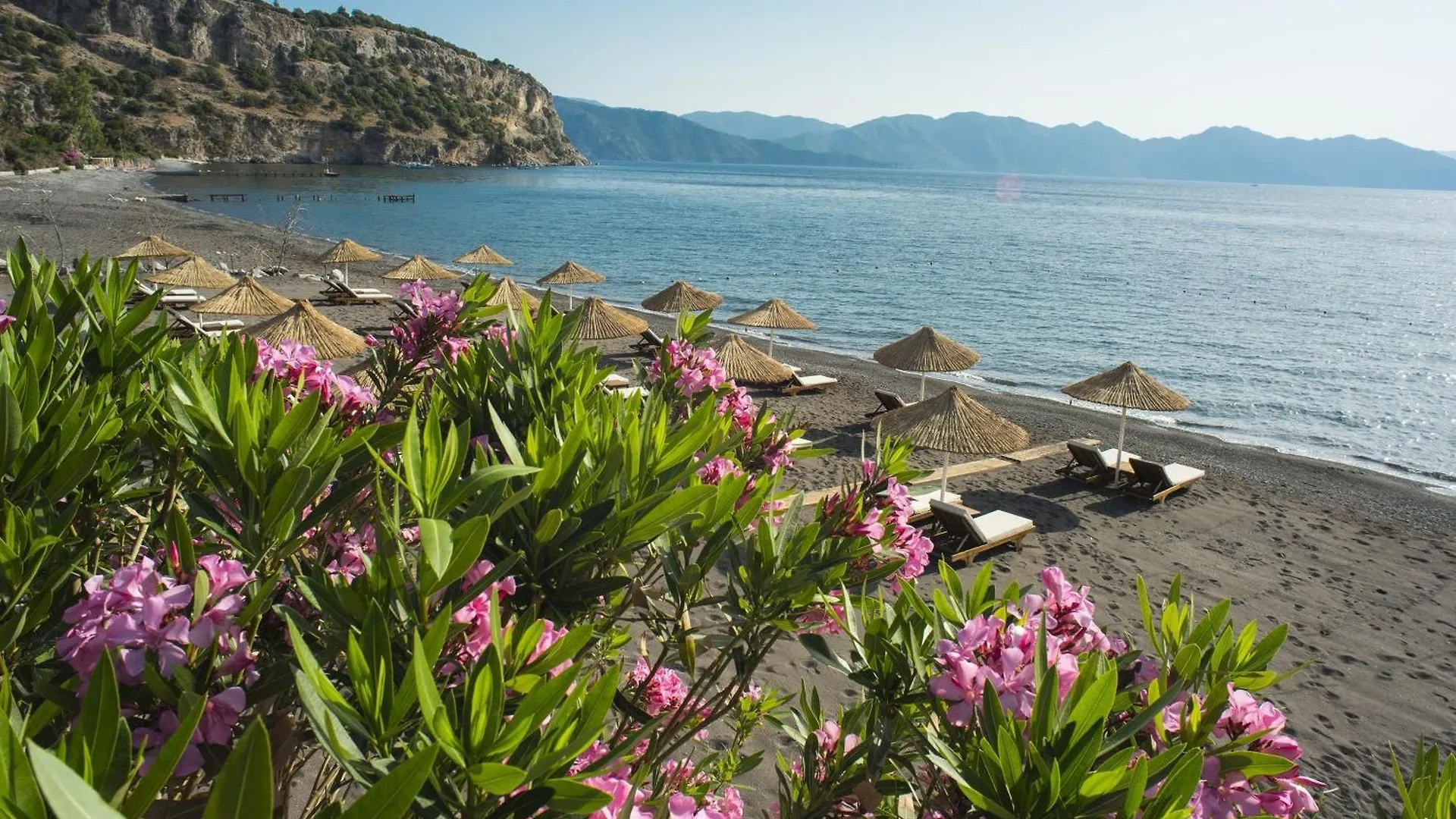 Asma, Villa Florya Marmaris 0*,  Turquie